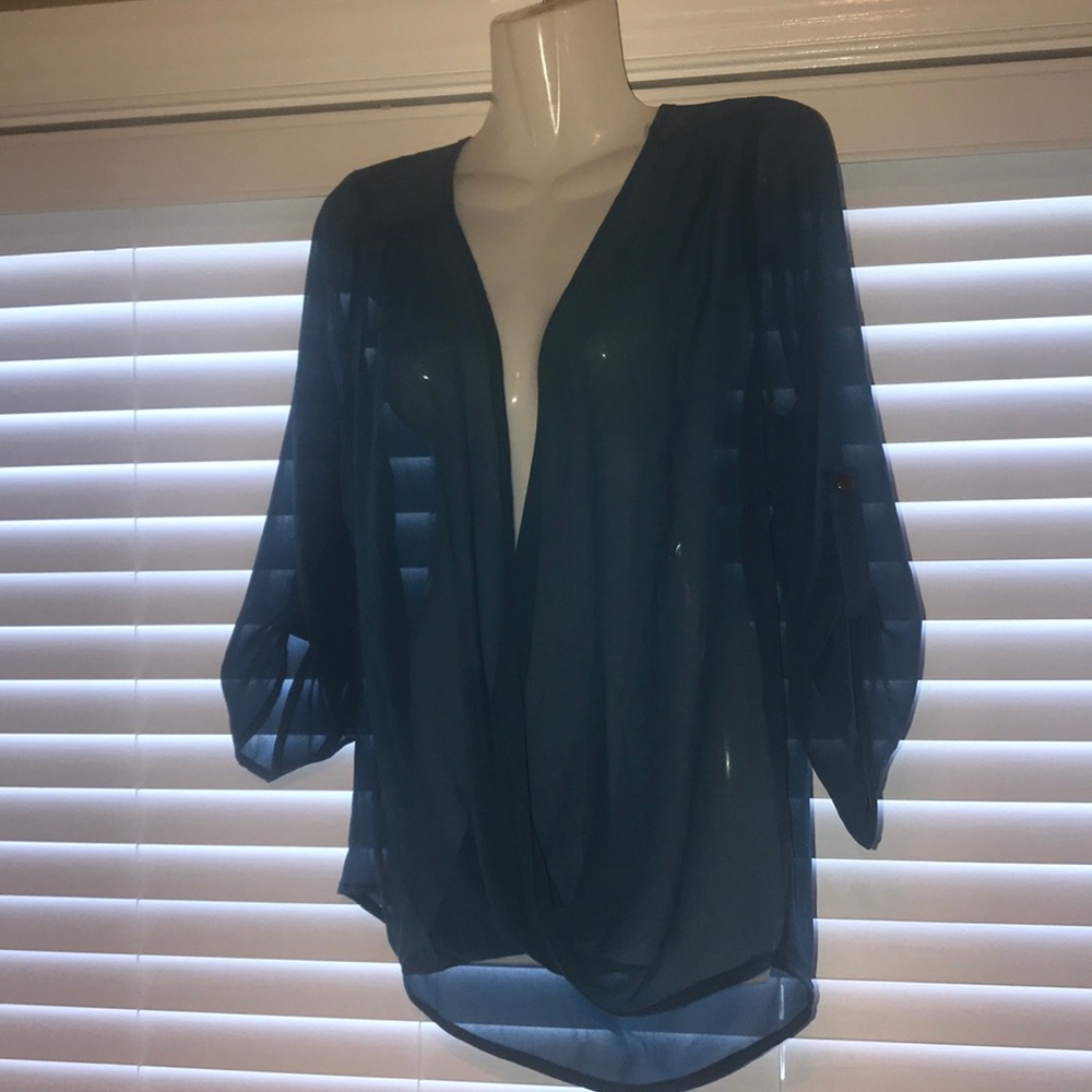 Sheer Silk Top....NWOT